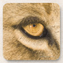 Search for national park coasters Animal