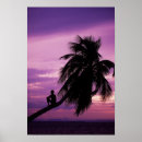 Search for ambergris posters Reef