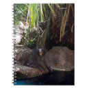 Search for baboon notebooks Primate