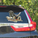 Search for german pointer stickers Wirehaired