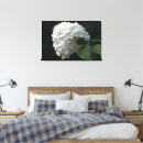 Search for hydrangea canvas prints Photography