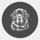 Search for newfoundland dog stickers Weimaraner
