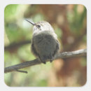 Search for young bird stickers Baby