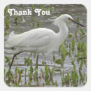 Search for egret stickers White heron