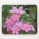 Search for clematis mousepads Floral