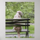 Search for bench posters Humour