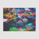 Search for coral reef tissue paper Blue