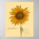 Recherche de tournesols posters Pour tous