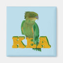 Recherche de perroquet vert magnets Oiseau