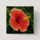 Recherche de fleurs tropicales badges Toute personne