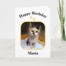 Search for calico kitten cards Cat