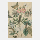 Recherche de insectes cuisine linges Chenilles