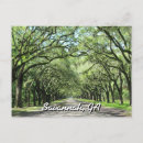 Recherche de plant cartes postales Georgia