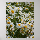 Recherche de visage souriant heureux posters Fleurs