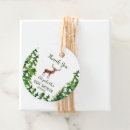 Search for deer favour tags Forest