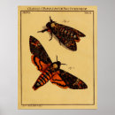 Recherche de entomology posters Bugs
