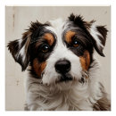 Recherche de chien de berger posters Amoureux des chiens