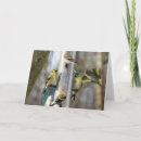 Search for feeder cards Goldfinch