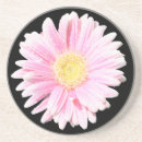Recherche de marguerite gerbera dessous de verres Fleur