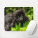 Search for mountain gorilla mousepads Rainforest