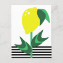 Search for fruit postcards Modern