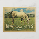 Recherche de farm cartes postales Animaux de ferme