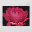 Search for name your postcards Thinking of you