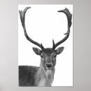 Recherche de cabine posters Imprimer