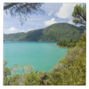 Search for new zealand tiles South island