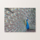 Recherche de paons puzzles Pour elle