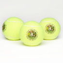 Search for unique tennis balls Logo