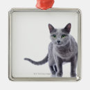 Search for russian blue cat ornaments Cats