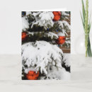 Search for alberta cards Winter