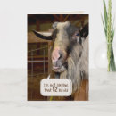 Search for goat cards Humour