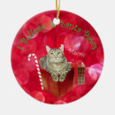 Search for santa paws ornaments Merry christmas
