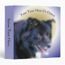 Recherche de border collies travaux manuels fêtes Animal