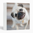 Search for pug binders Animal