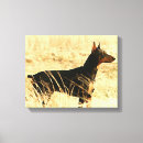 Search for doberman art Dobie