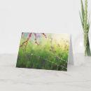 Search for cobweb cards invites Purple