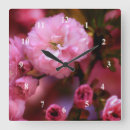 Search for cherry clocks Summer
