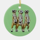 Search for meerkat ornaments Mongoose