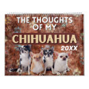 Search for chihuahua calendars Funny