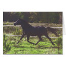 Recherche de galoper cartes postales Paysage