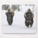 Search for freeze mousepads Frozen