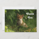 Search for animal faces cards Nature
