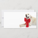 Search for yellow labrador christmas cards Xmas
