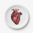 Search for anatomy plates Doctor