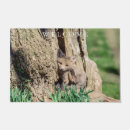 Search for the fox doormats Nature