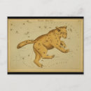 Search for antique constellations postcards Astrological