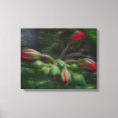 Search for geranium canvas prints Botanical
